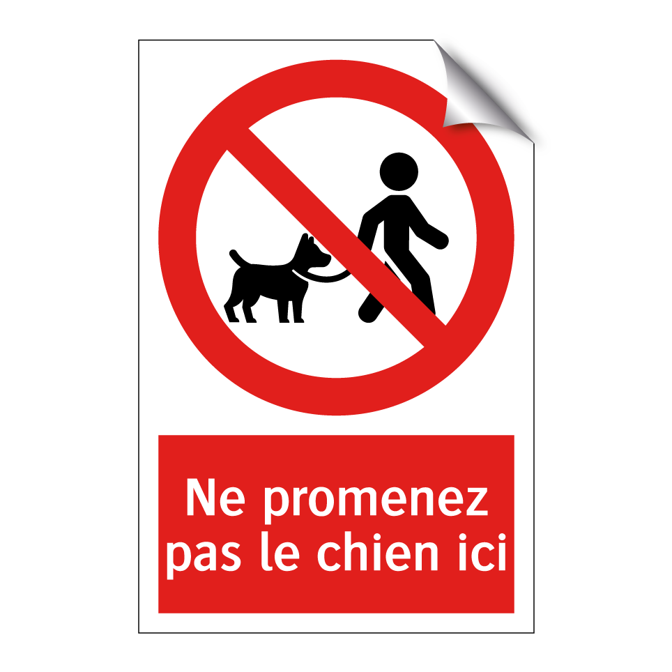 Ne promenez pas le chien ici