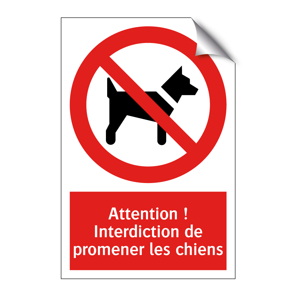 Attention ! Interdiction de promener les chiens