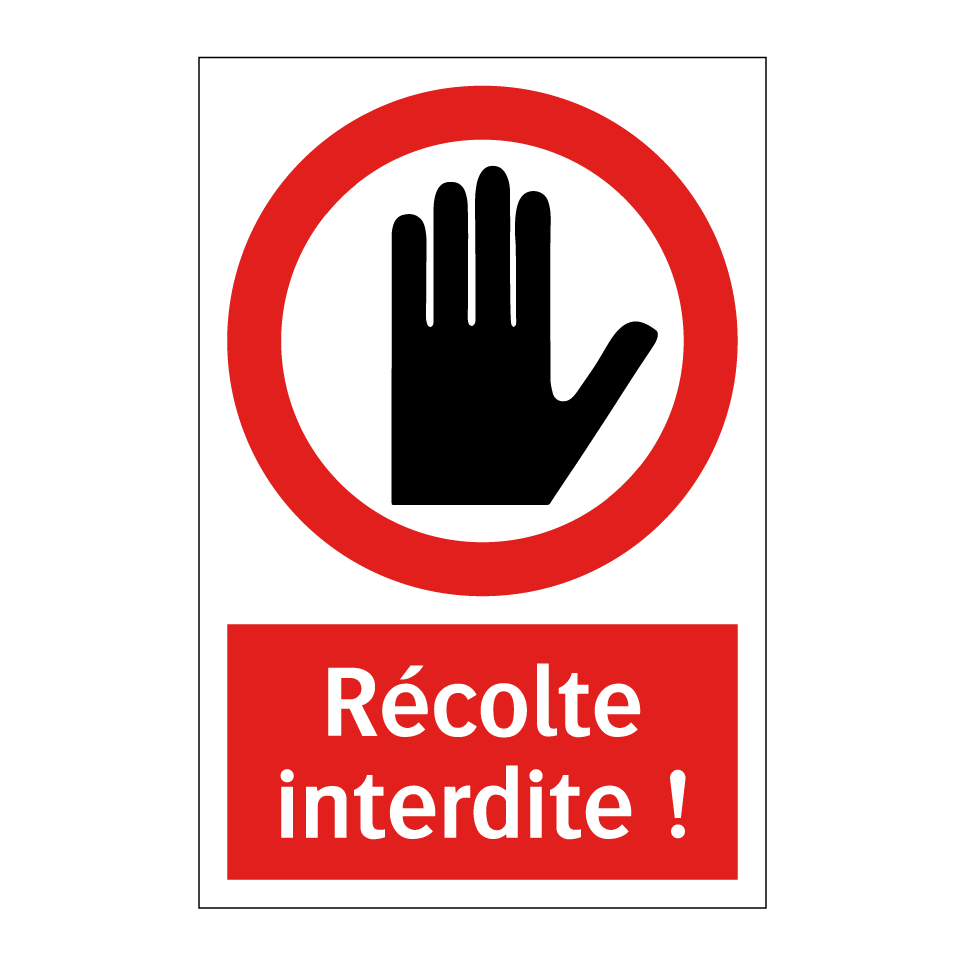 Récolte interdite !