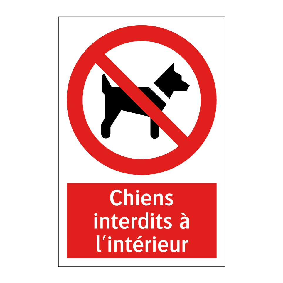 Chiens interdits à l'intérieur