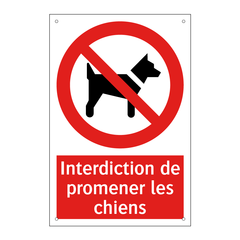 Interdiction de promener les chiens