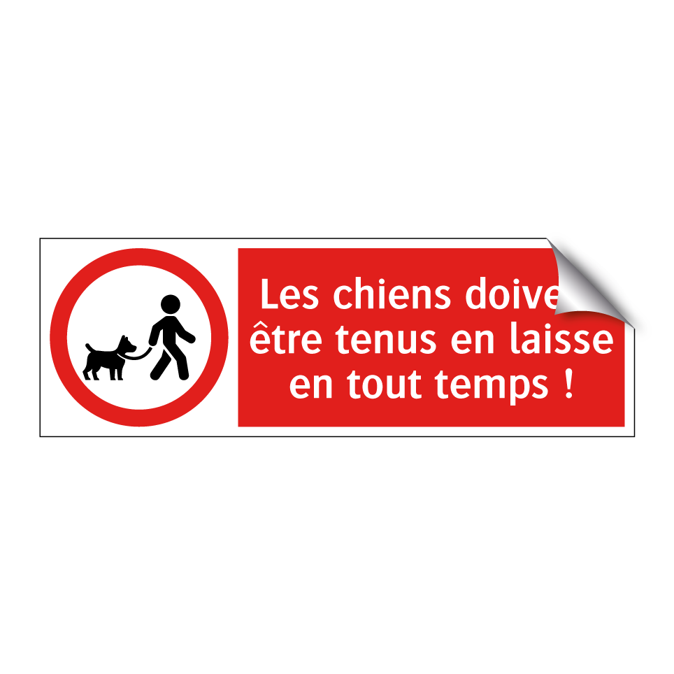 Les chiens doivent être tenus en laisse en tout temps !
