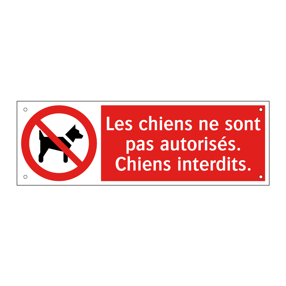 Les chiens ne sont pas autorisés. Chiens interdits.