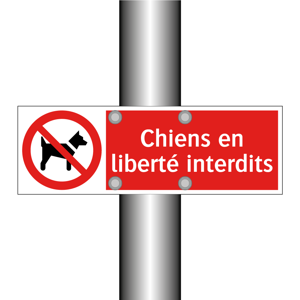 Chiens en liberté interdits