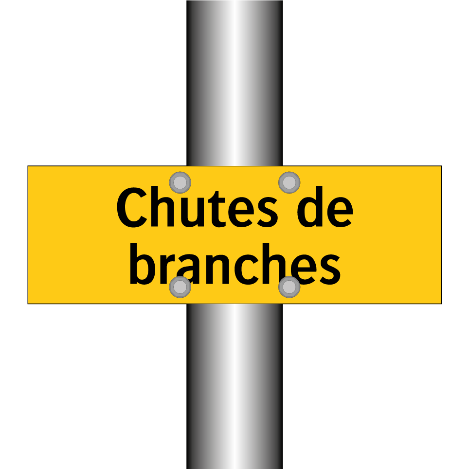 Chutes de branches