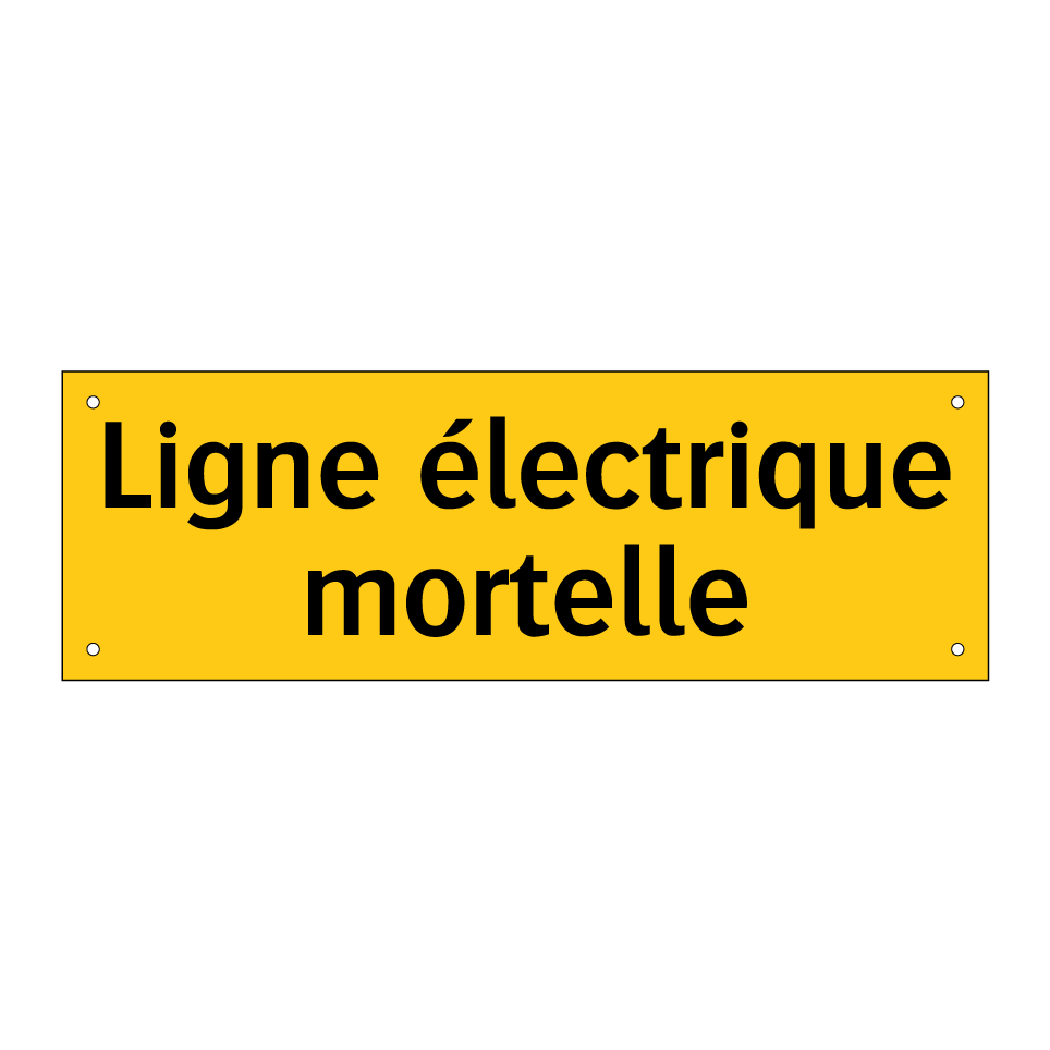 Ligne électrique mortelle