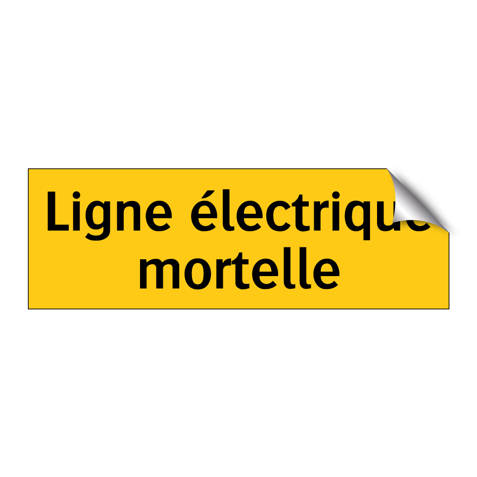 Ligne électrique mortelle