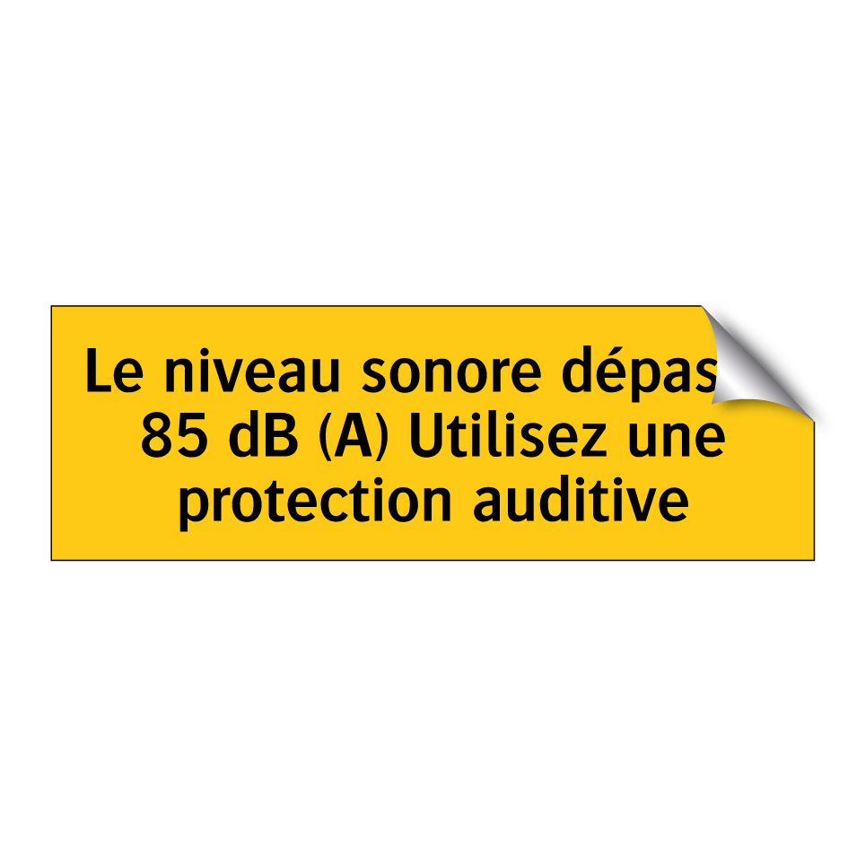 Le niveau sonore dépasse 85 dB (A) Utilisez une protection auditive