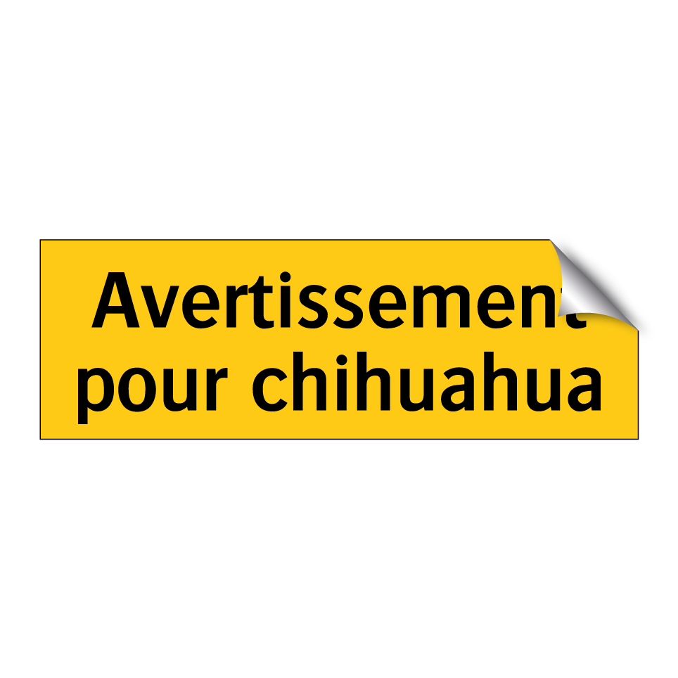 Avertissement pour chihuahua