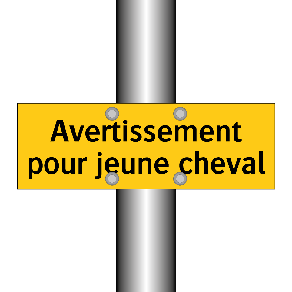 Avertissement pour jeune cheval