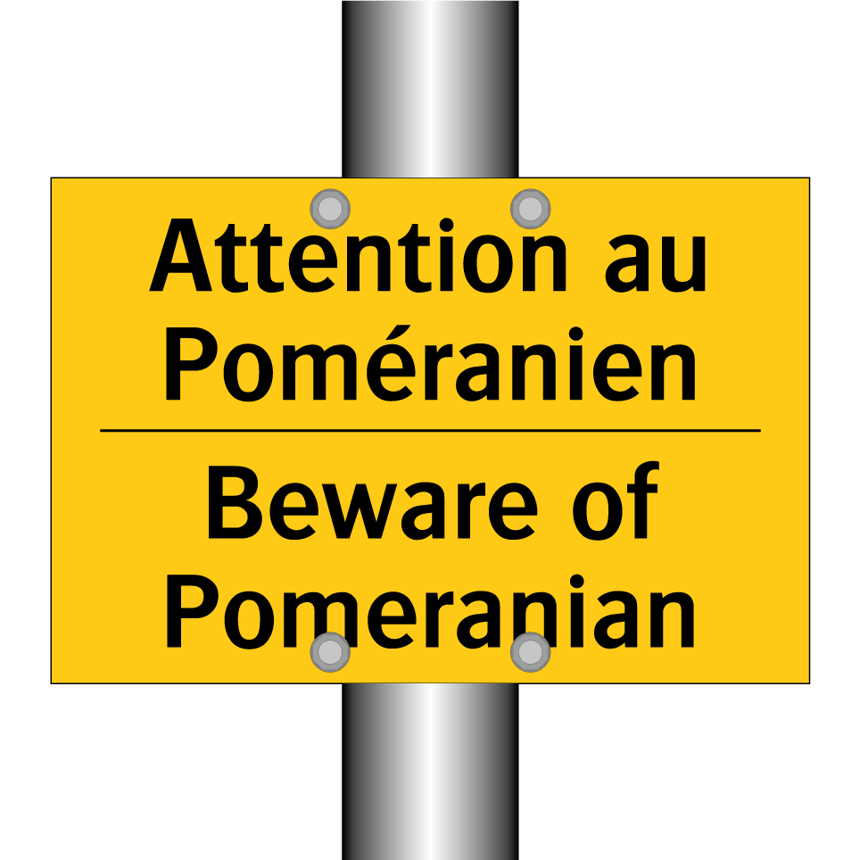 Attention au Poméranien - Beware of Pomeranian