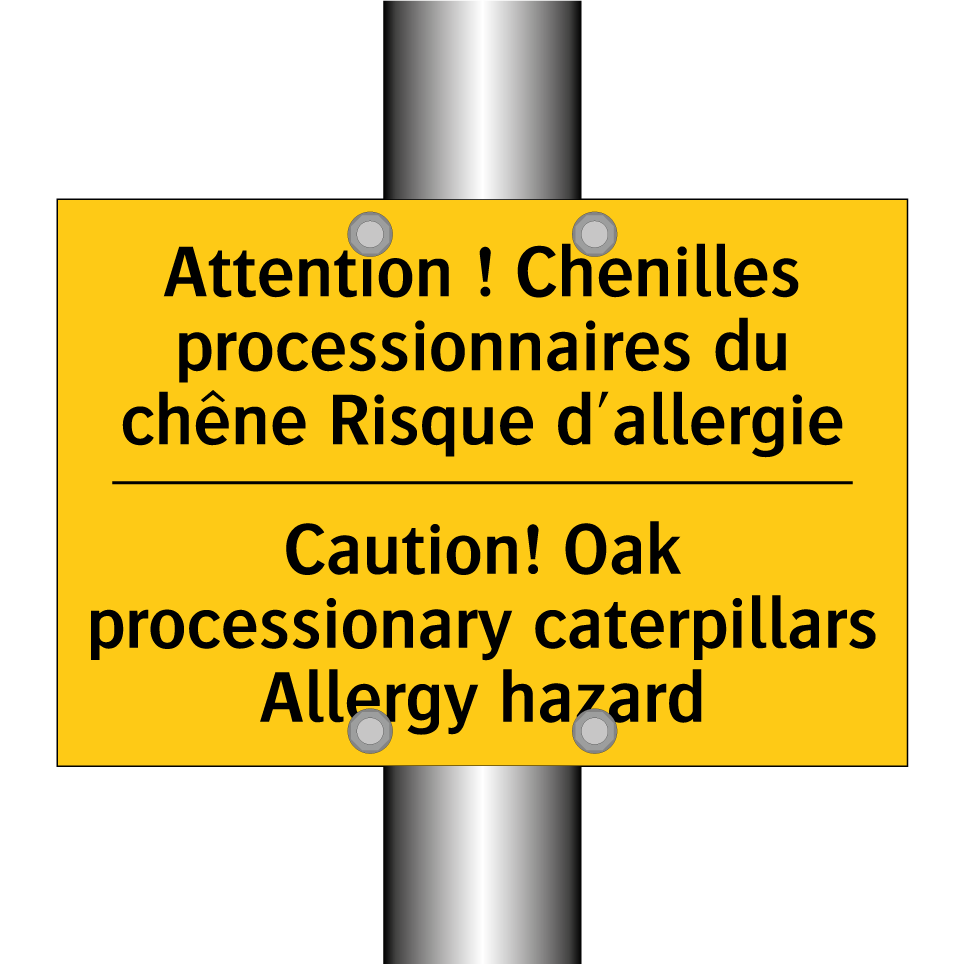 Attention ! Chenilles processionnaires  /.../ - Caution! Oak processionary caterpillars  /.../