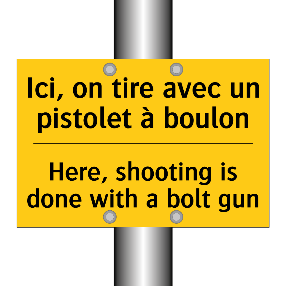 Ici, on tire avec un pistolet  /.../ - Here, shooting is done with a  /.../