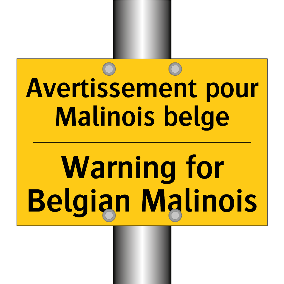 Avertissement pour Malinois belge /.../ - Warning for Belgian Malinois