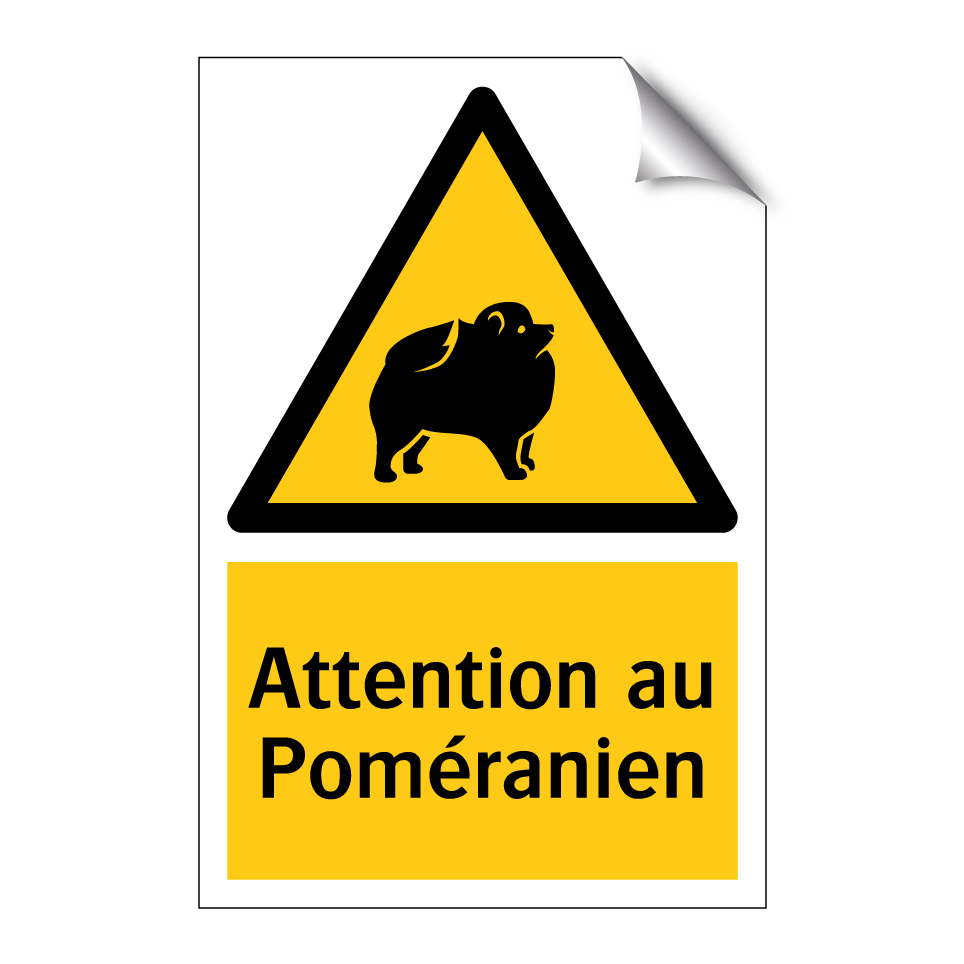 Attention au Poméranien