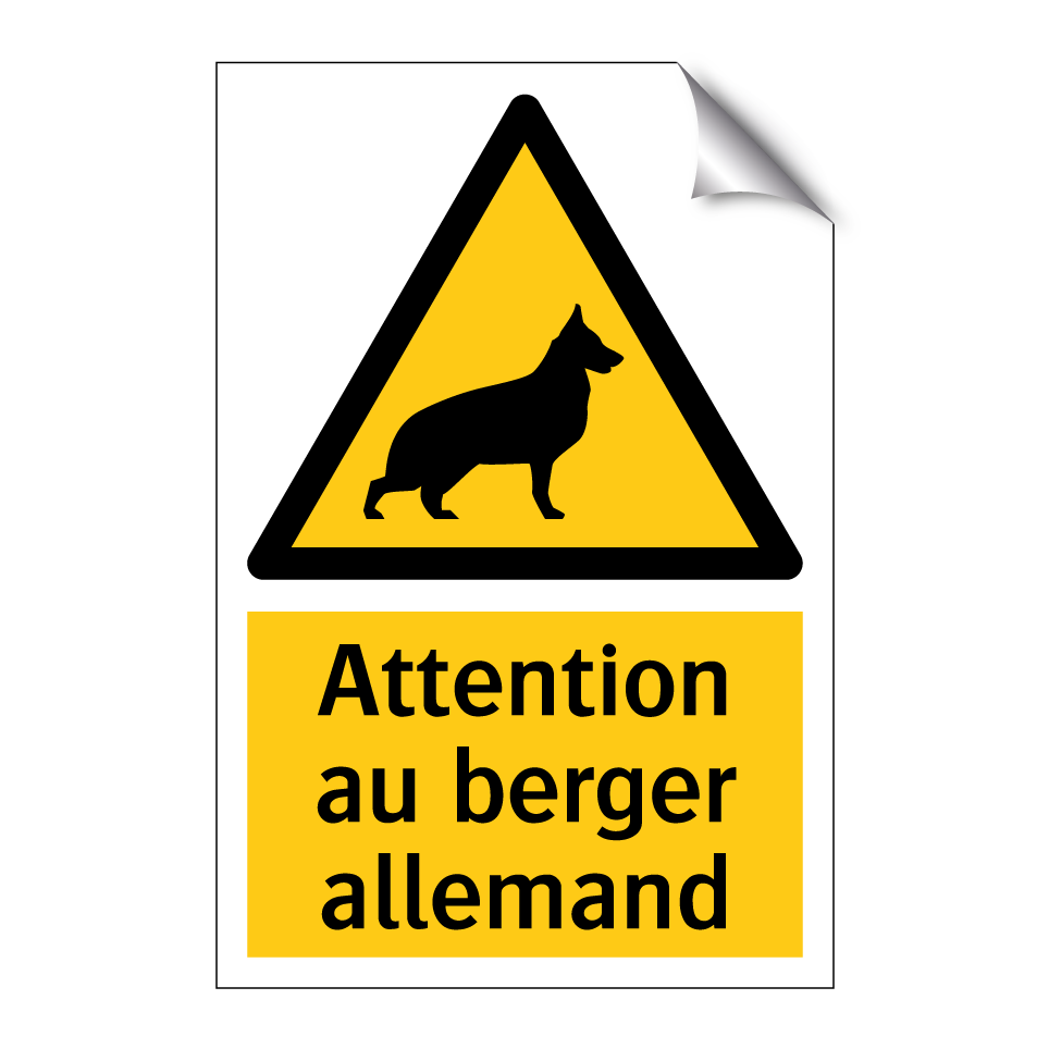 Attention au berger allemand