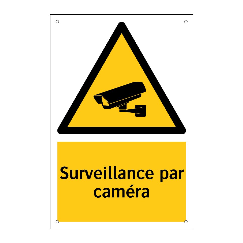 Surveillance par caméra