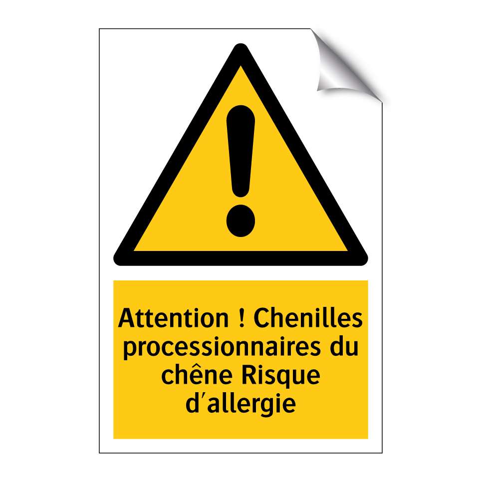 Attention ! Chenilles processionnaires du chêne Risque d'allergie