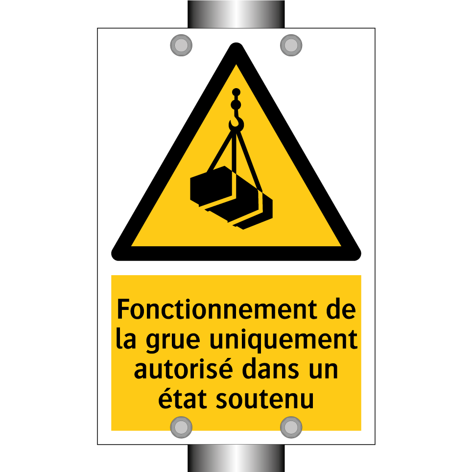 Fonctionnement de la grue uniquement autorisé dans un état soutenu