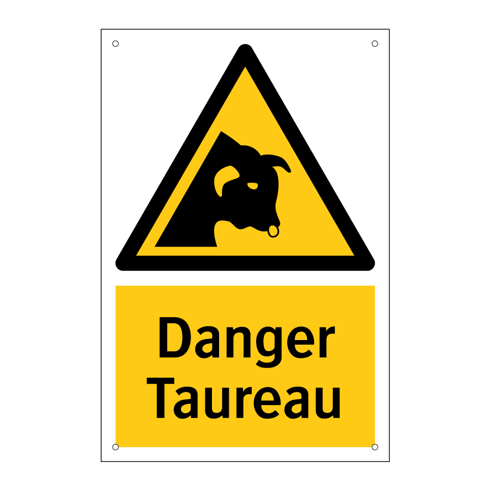 Danger Taureau