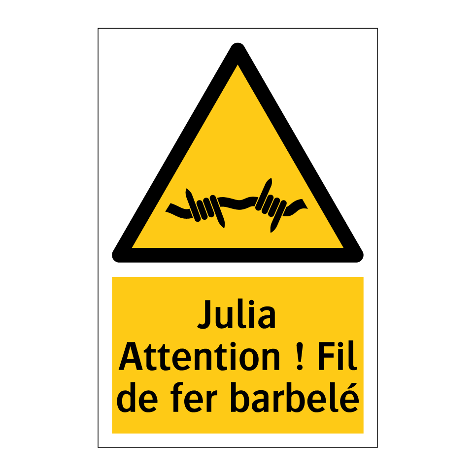 Julia Attention ! Fil de fer barbelé