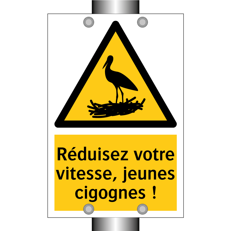 Réduisez votre vitesse, jeunes cigognes !