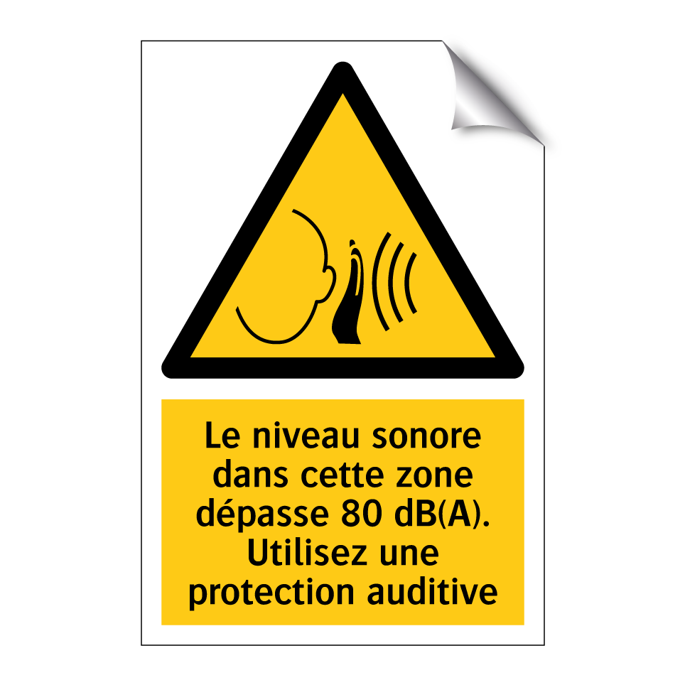 Le niveau sonore dans cette zone dépasse 80 dB(A). Utilisez une protection auditive