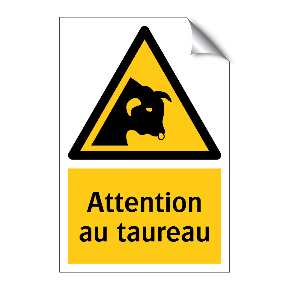 Attention au taureau