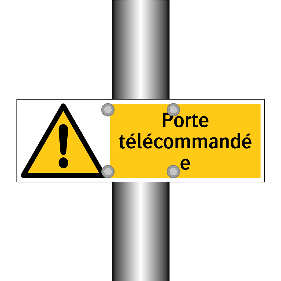 Porte télécommandée