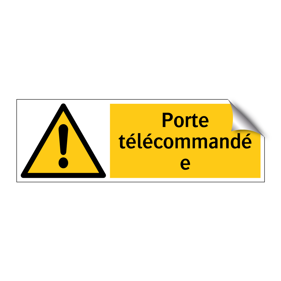 Porte télécommandée