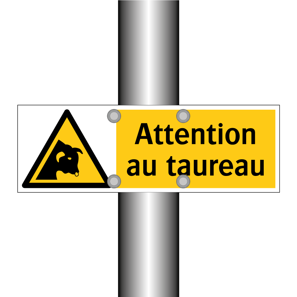 Attention au taureau