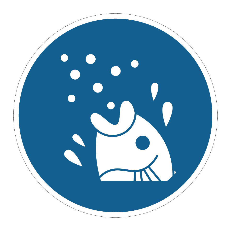 Nourrissage des poissons