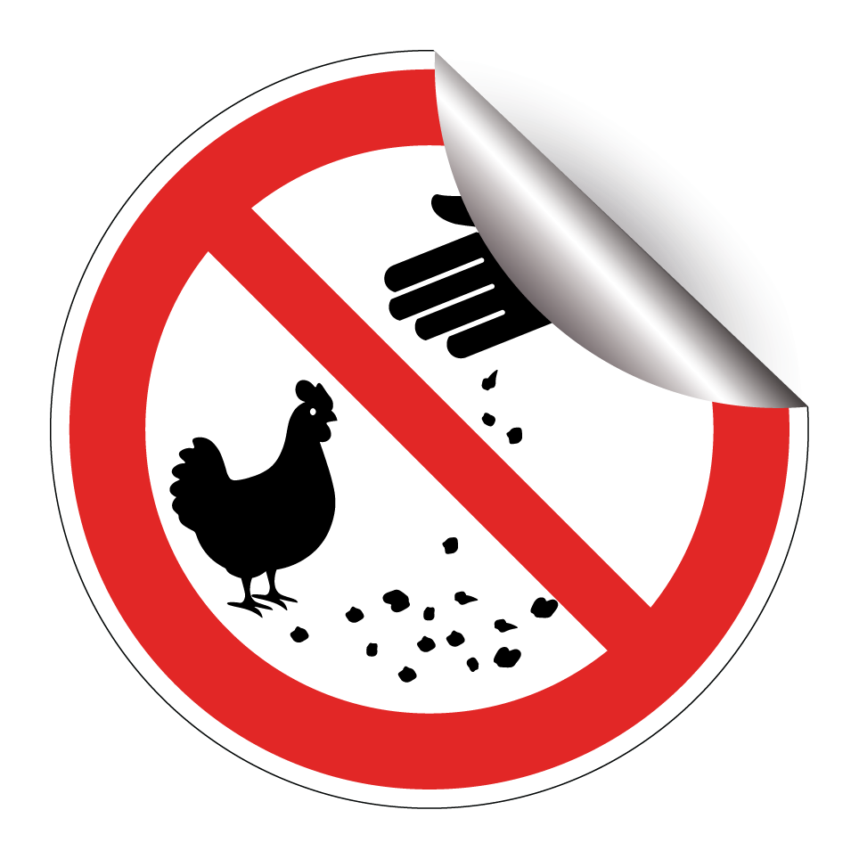 No feeding chickens