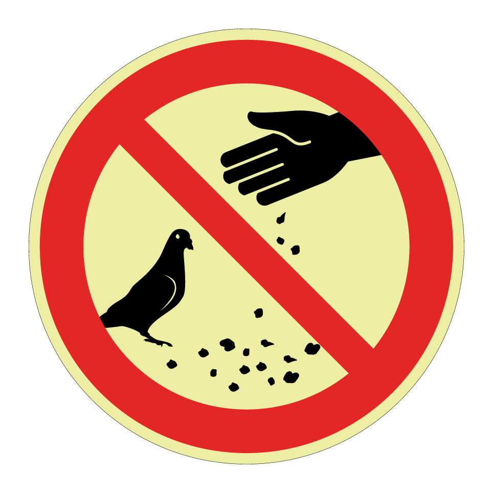 No feeding pigeons