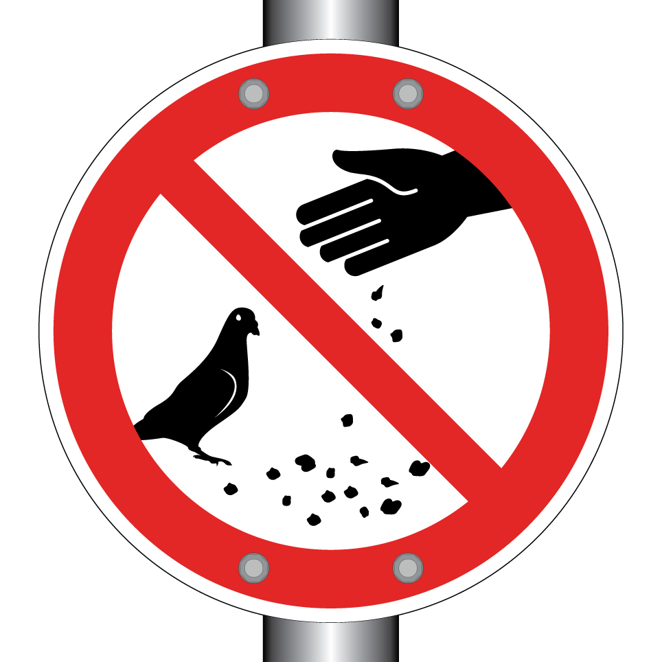 No feeding pigeons