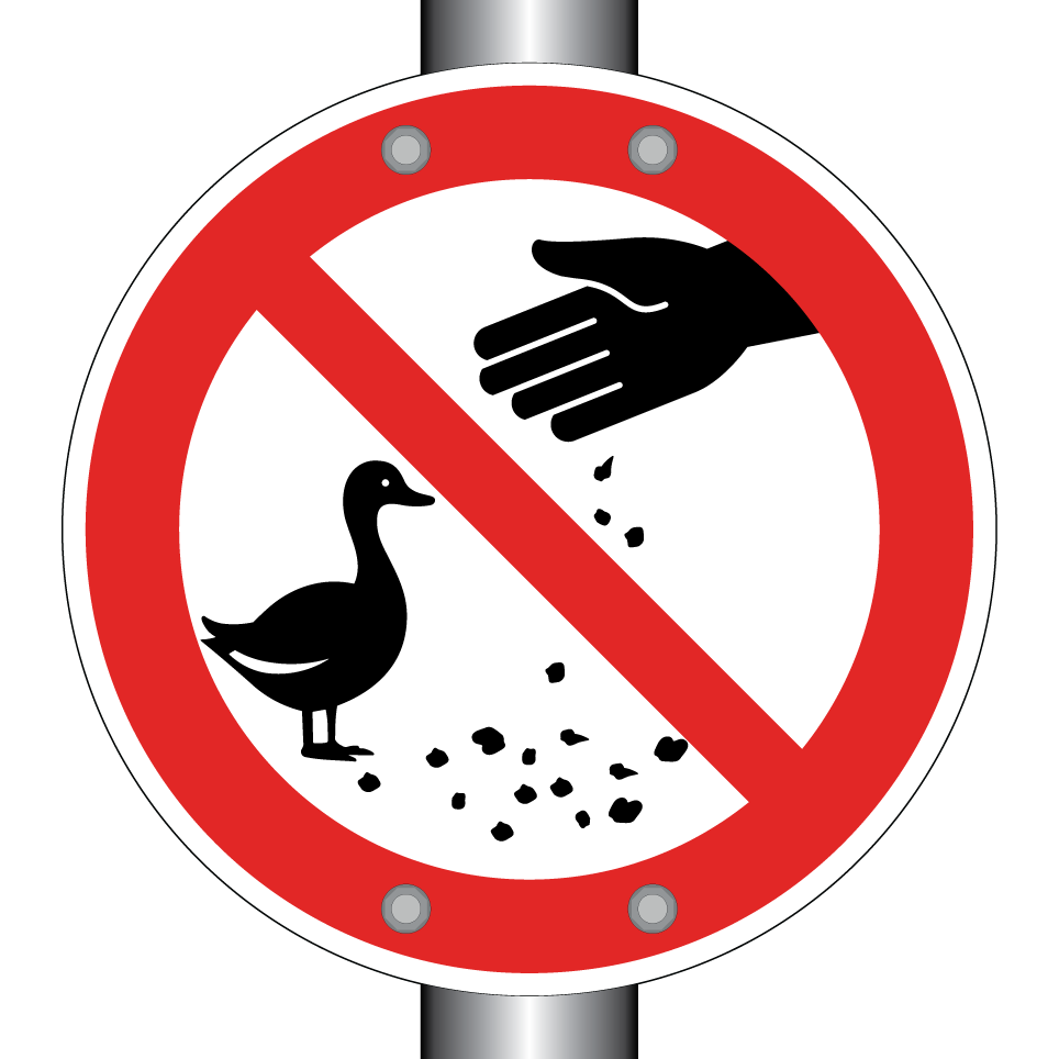 No feeding ducks