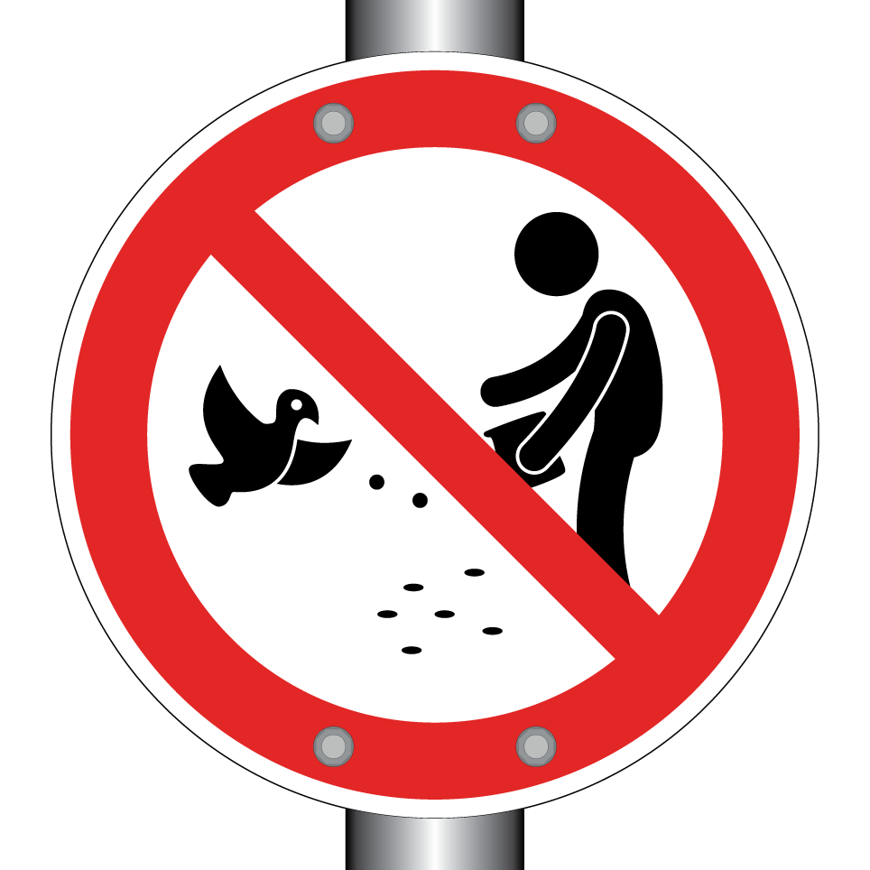 No dar de comer a las aves