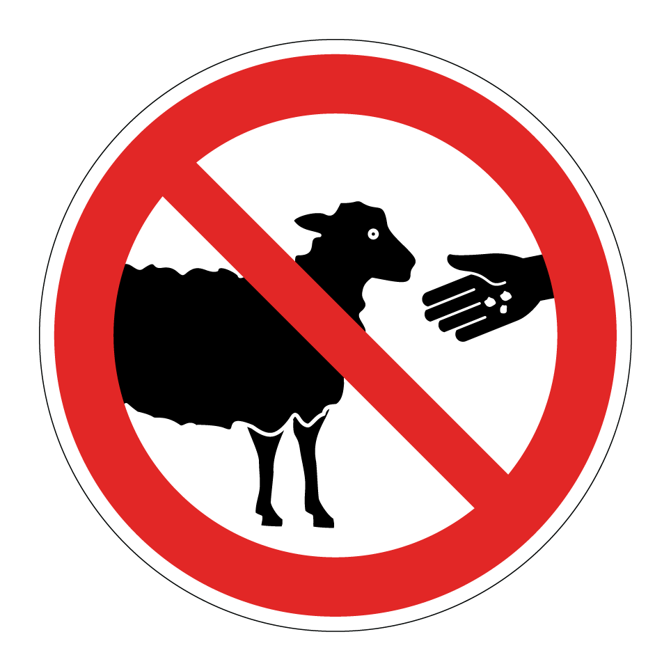 No feeding sheep