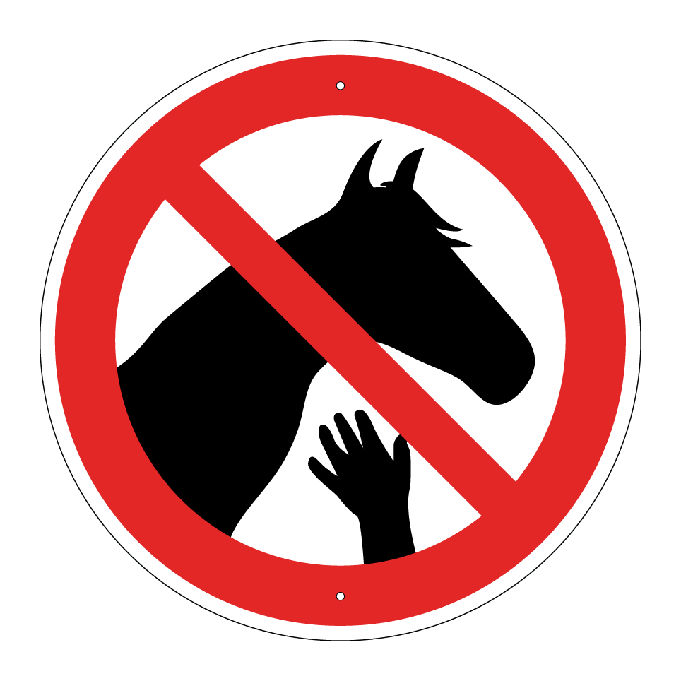 No tocar caballos