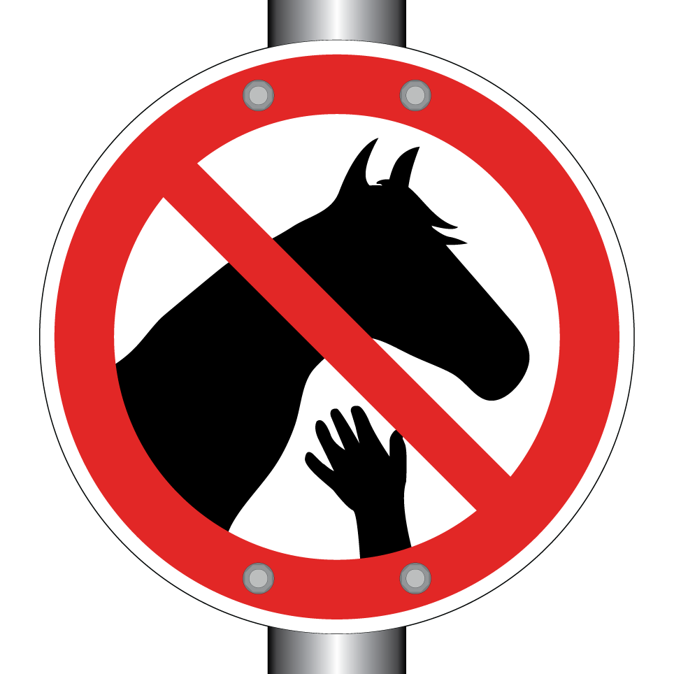No tocar caballos