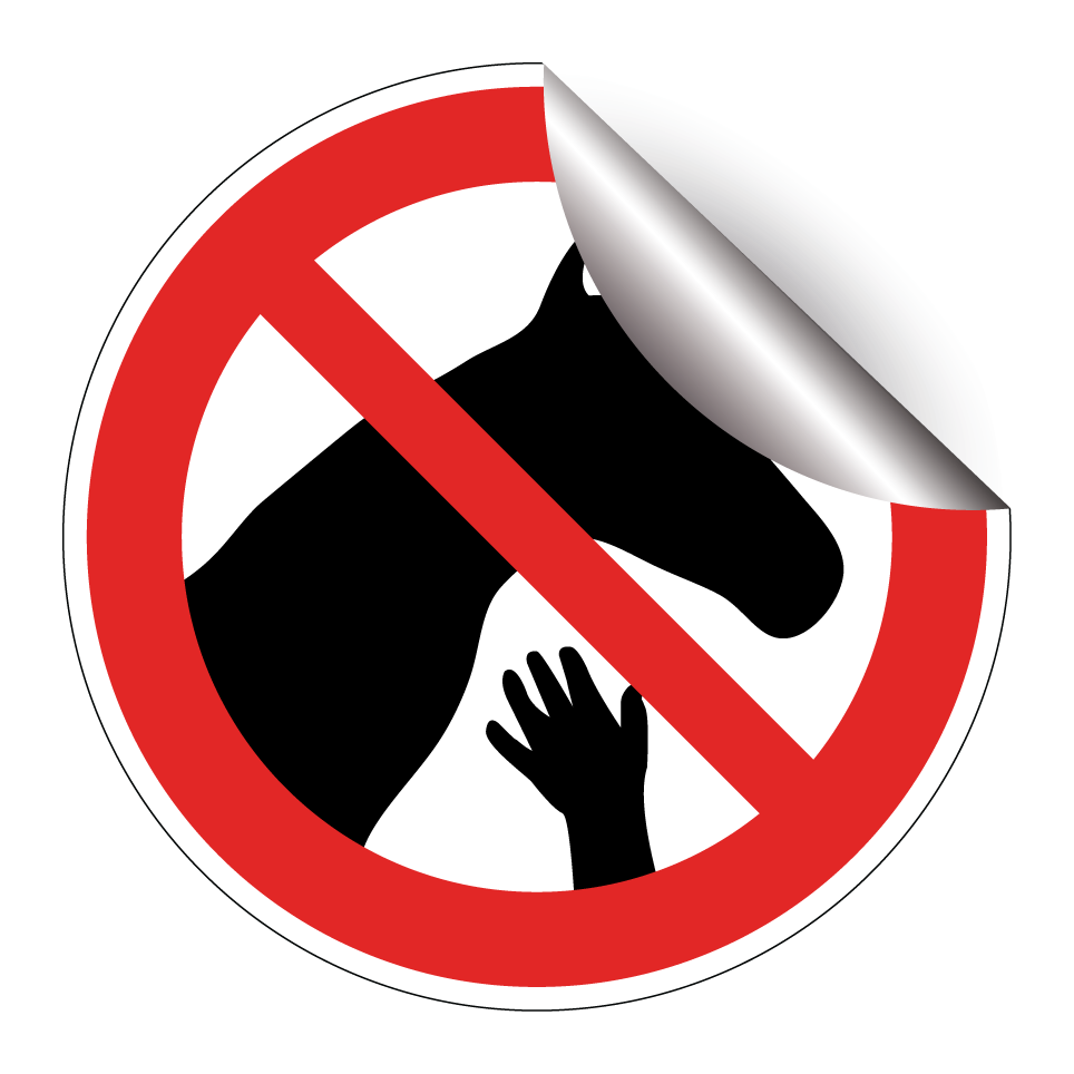 No tocar caballos