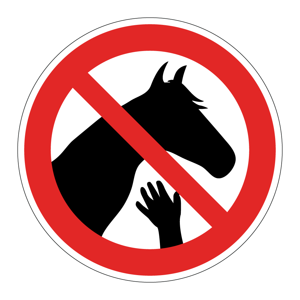 No tocar caballos