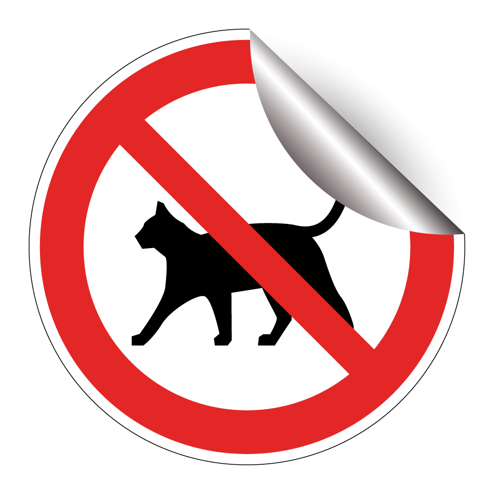 No cats