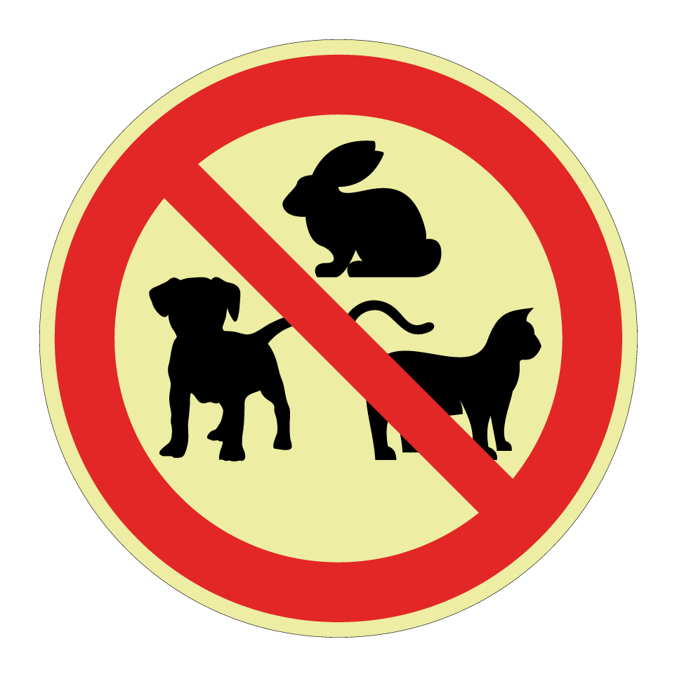 Pas d’animaux