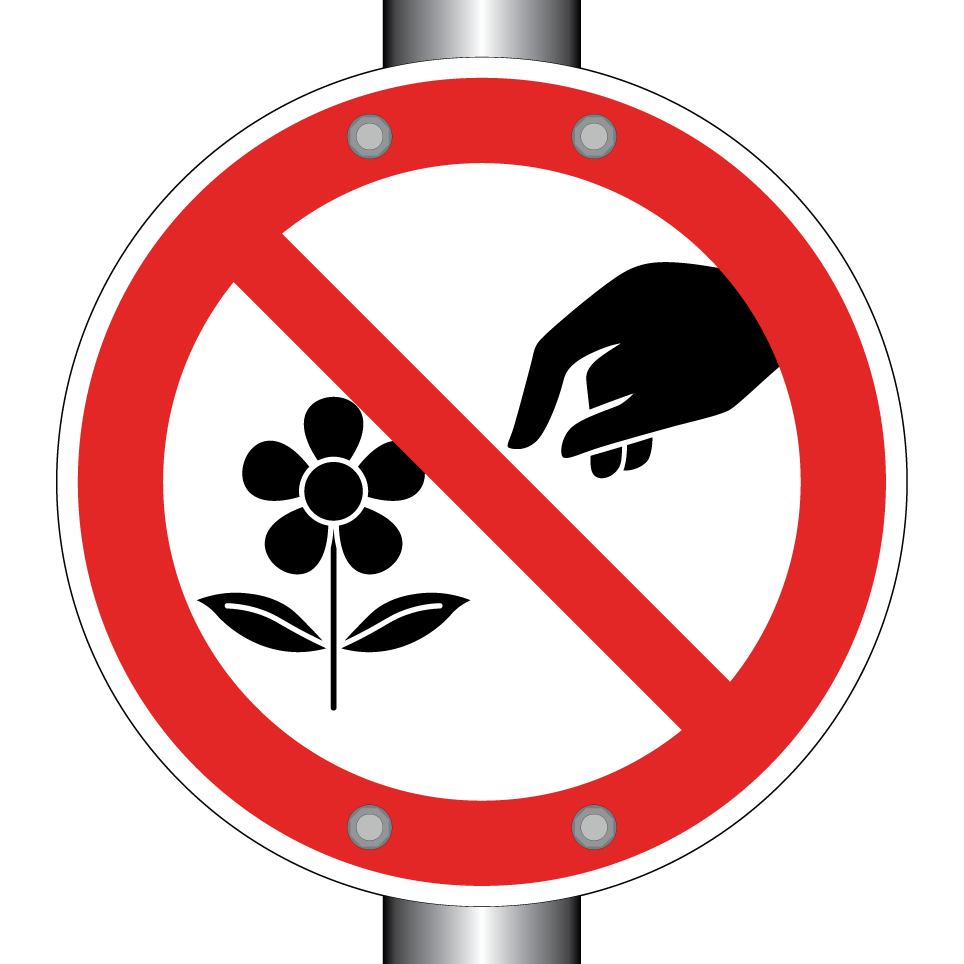 No picking flowers