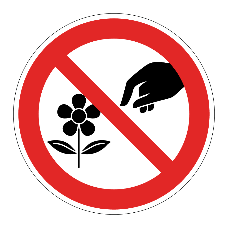 No picking flowers