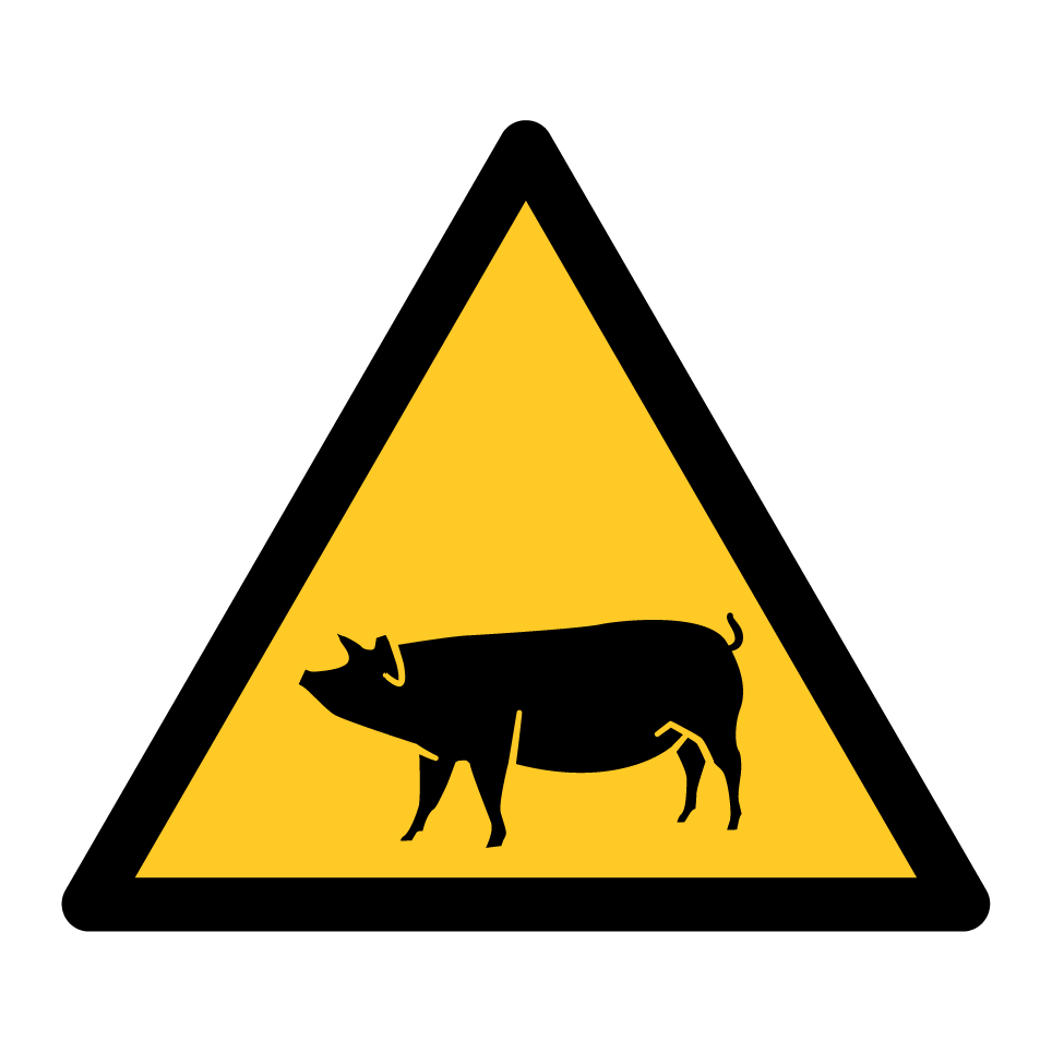 Warning pig