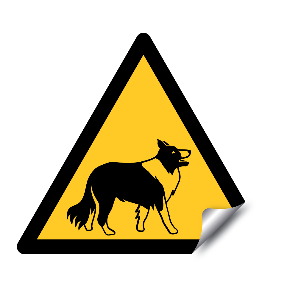 Collie de advertencia