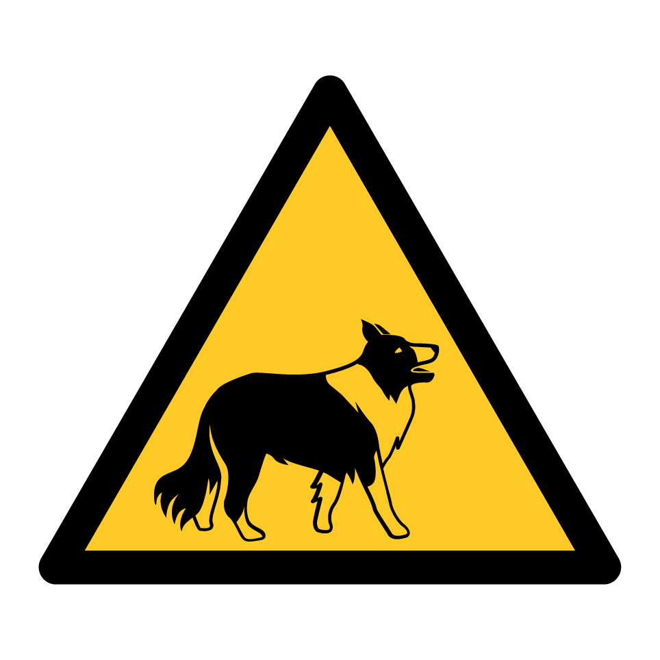 Collie de advertencia