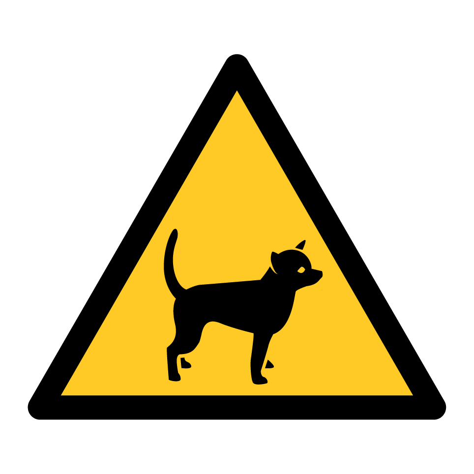 Warning chihuahua